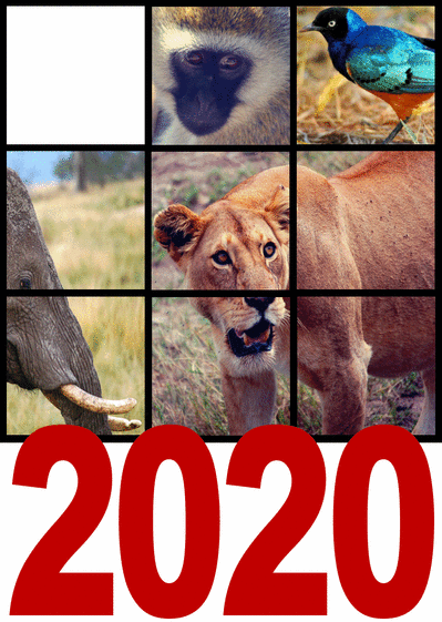 Carte Les Voeux Personnalisables Des Animaux - personnalisable